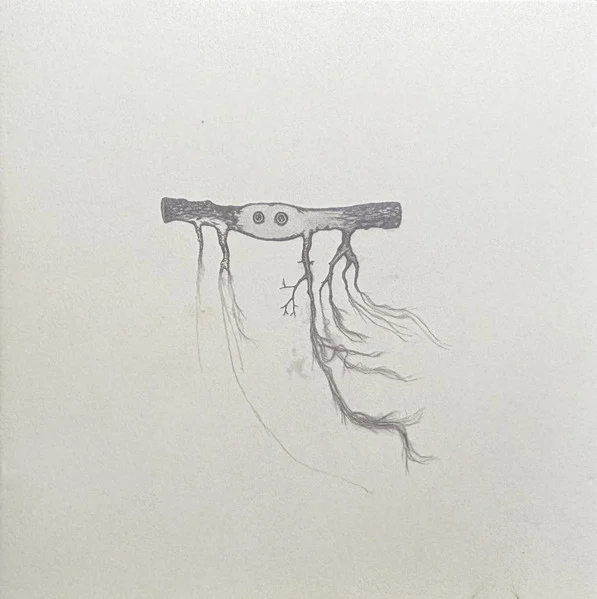 José González – In Our Nature