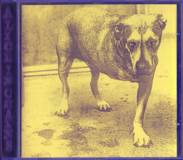 Alice In Chains – Alice In Chains